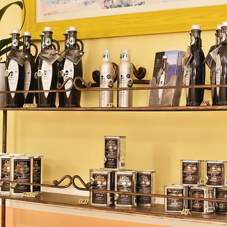 Tettola Saint-Florent (Corsica)