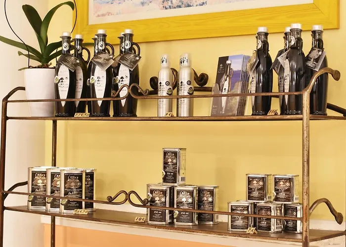 特多拉酒店 圣弗洛朗