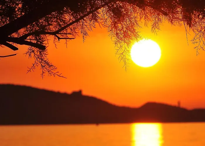 特多拉酒店 酒店 圣弗洛朗